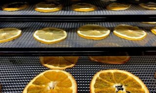 laranja desidratada