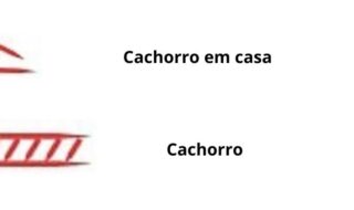 casa com cachorro