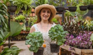 fortalecer as plantas