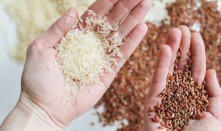tipos de arroz
